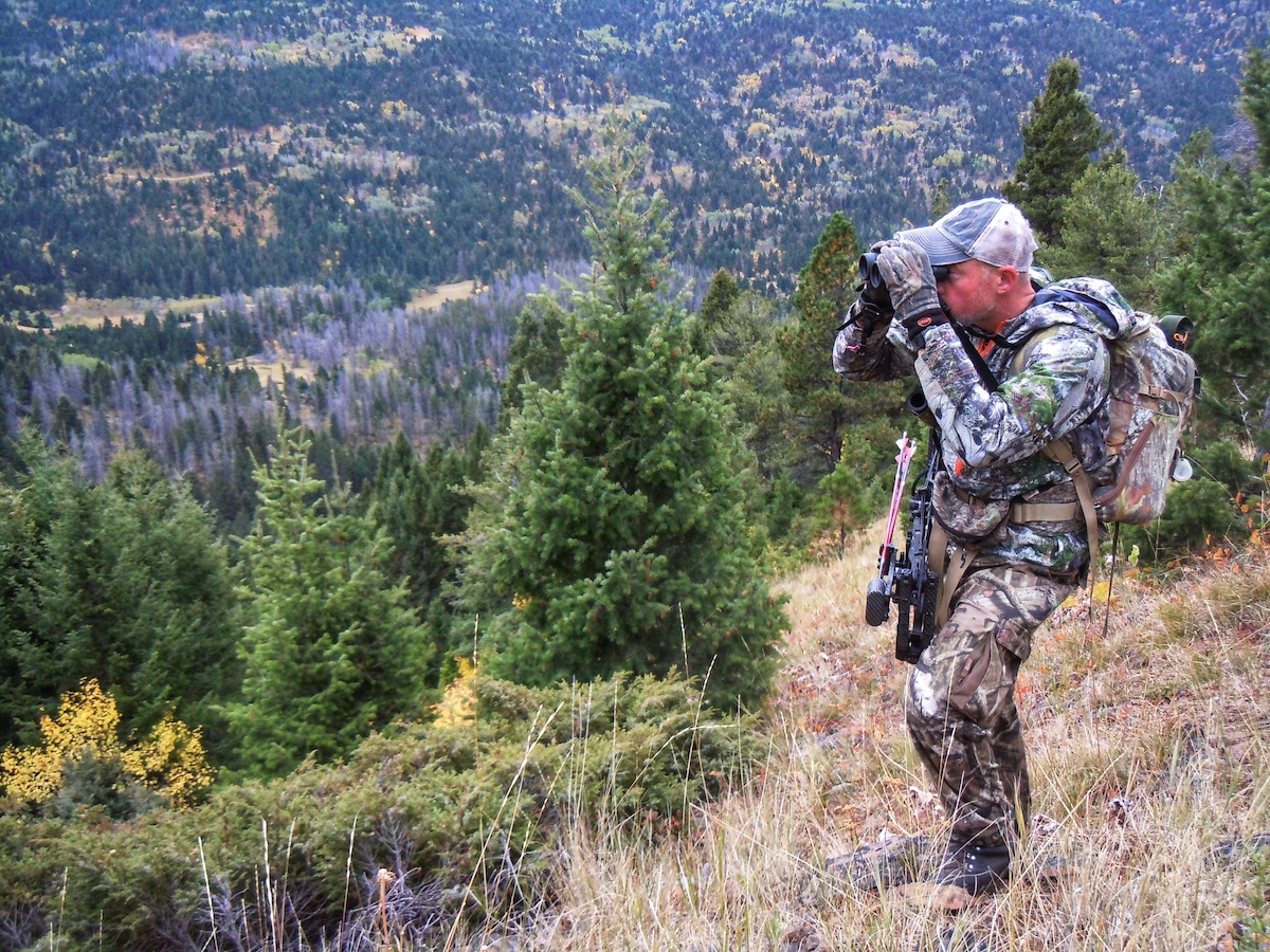 How To Hunt Elk