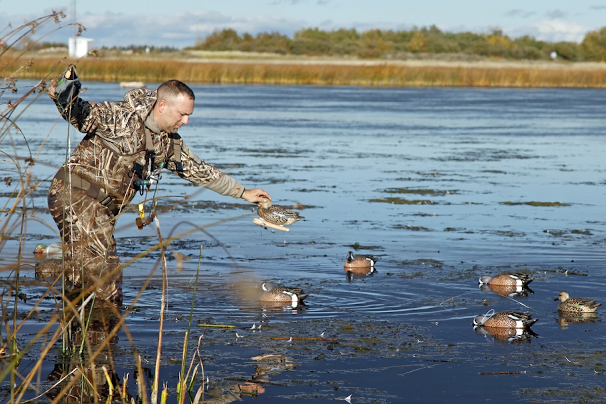 Hunting Early Season Ducks