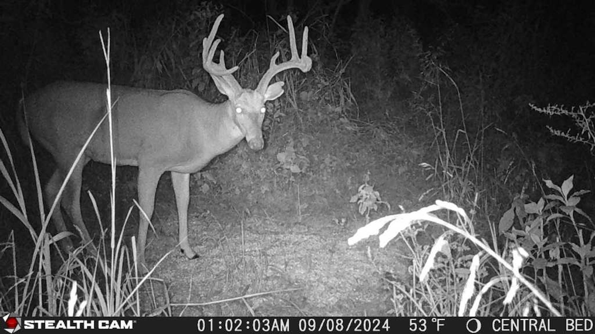 Early Season Deer Hunting