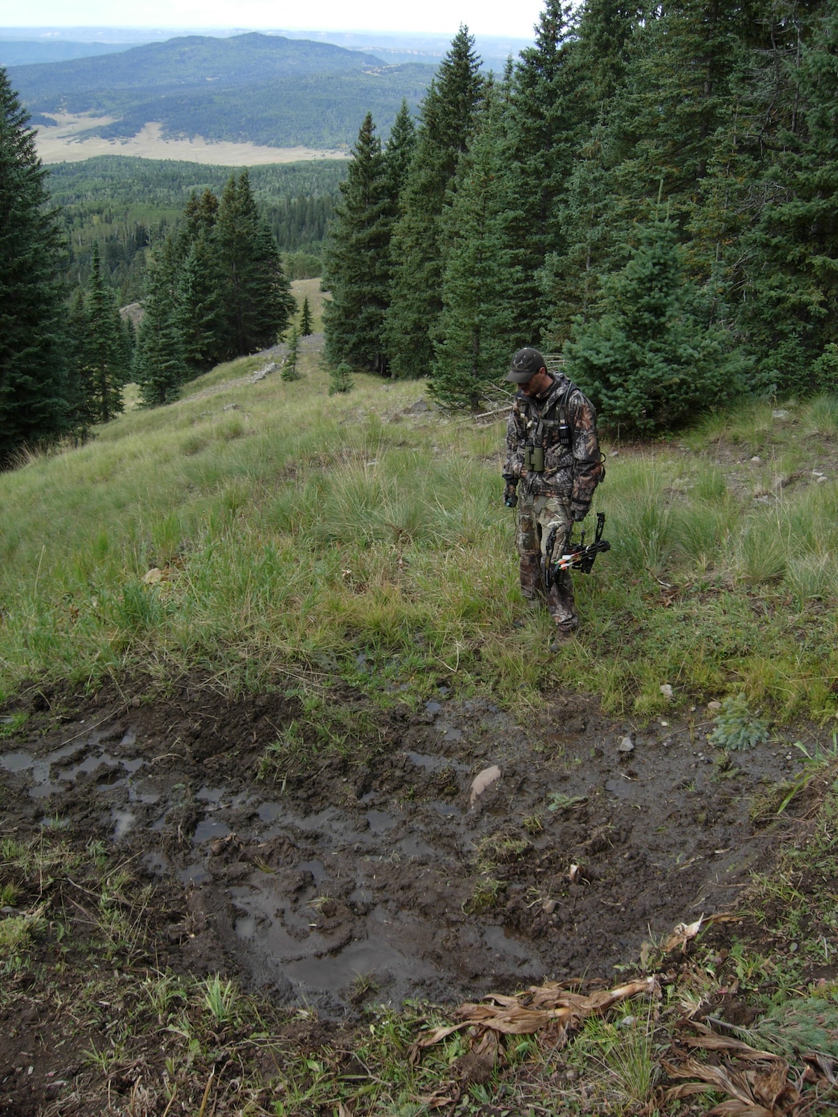 How to Hunt Elk: Morning, Midday, and Afternoon