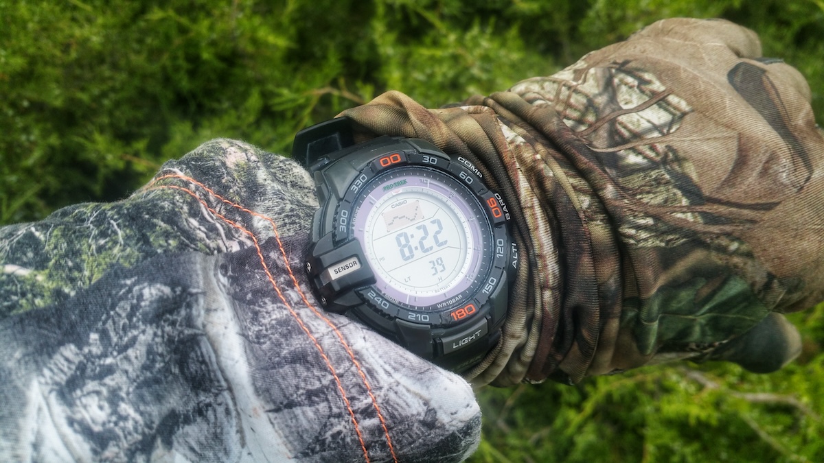 How to Hunt Elk: Morning, Midday, and Afternoon