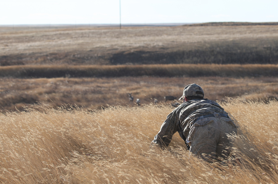 How to Bowhunt Prairie Mule Deer