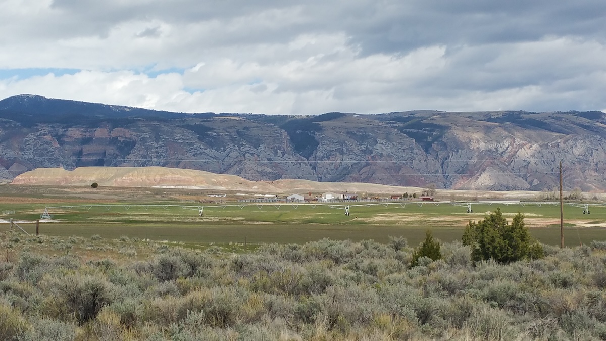 How To Hunt Mule Deer Ms64