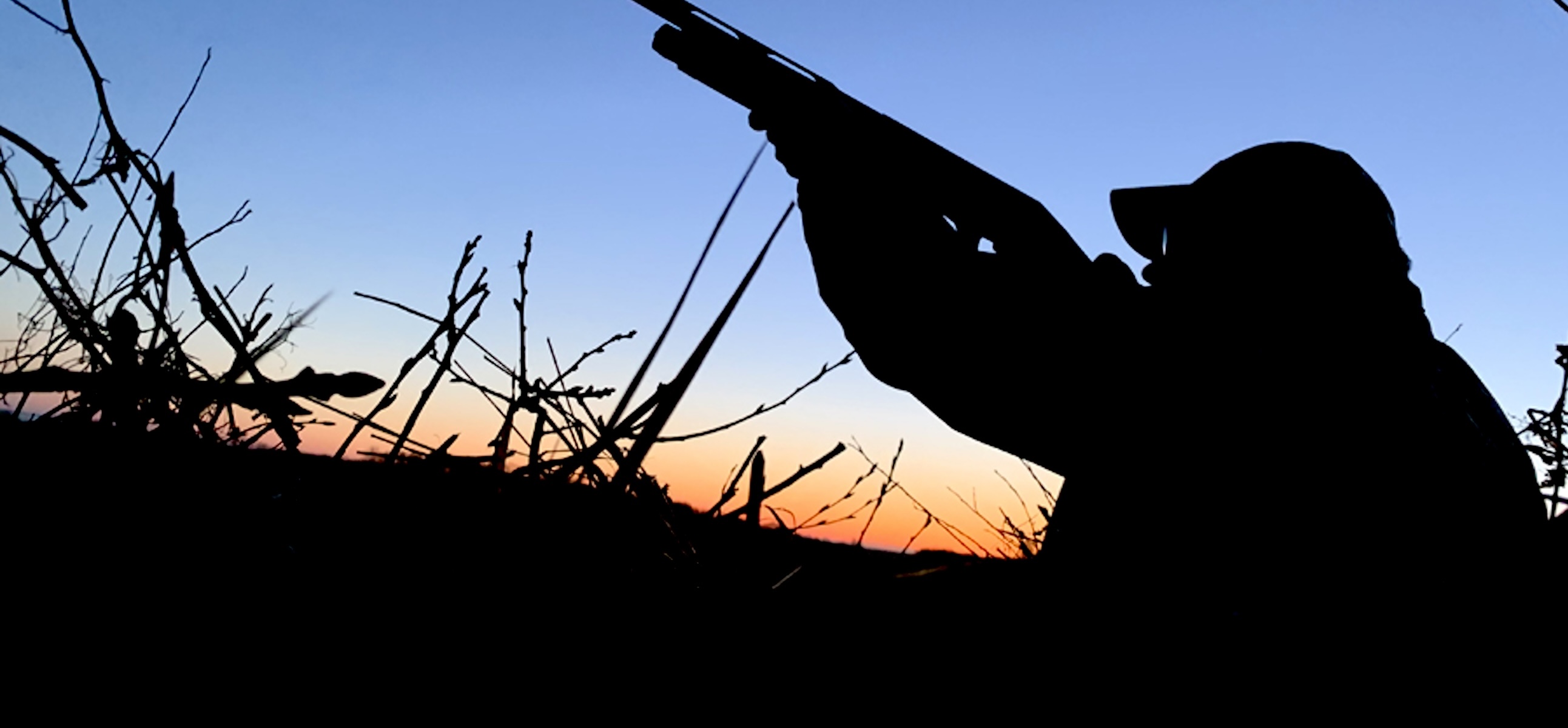 Hunting Blinds Guide for Every Hunter: Maximize Your Success