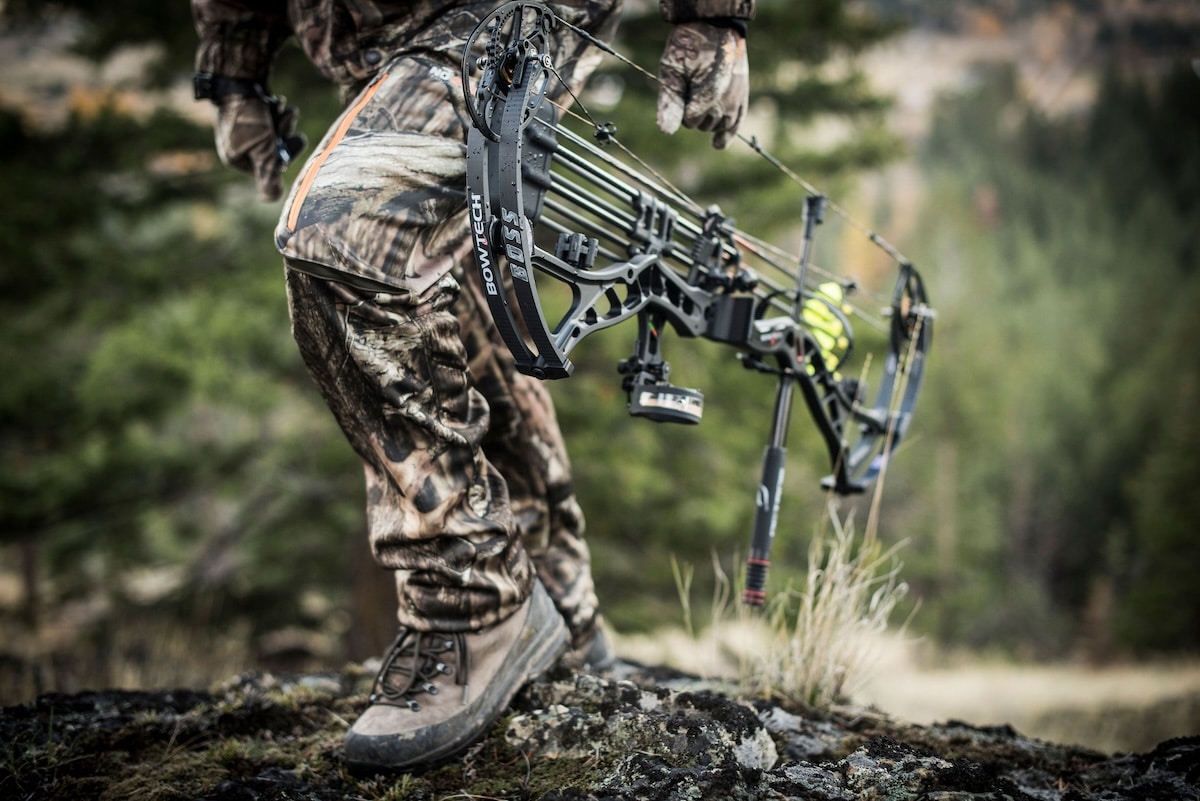 Hunting Pressured Fall Black Bears