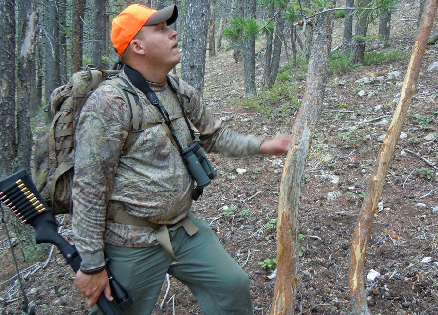 How to Hunt Elk During Gun Season