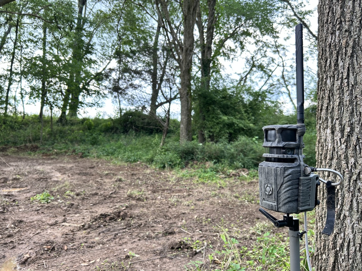 Ways to Use Trail Cameras That You Never Have Before