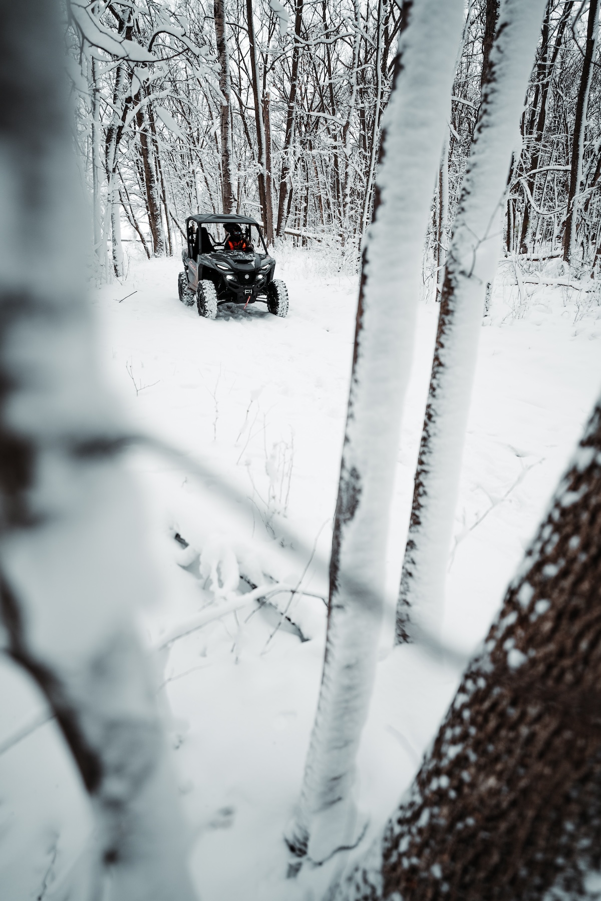 Ways to Use Trail Cameras That You Never Have Before