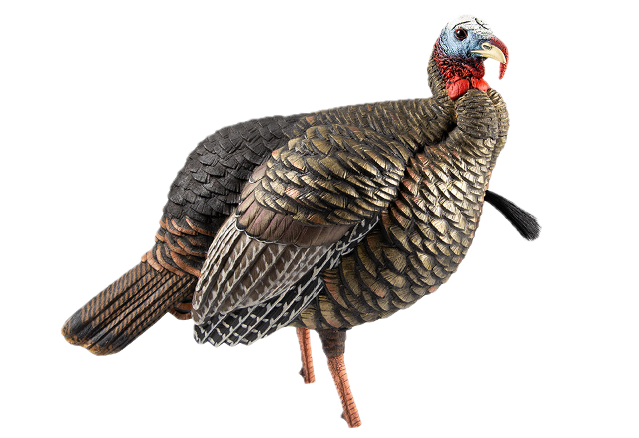 Avian X Hdr Jake