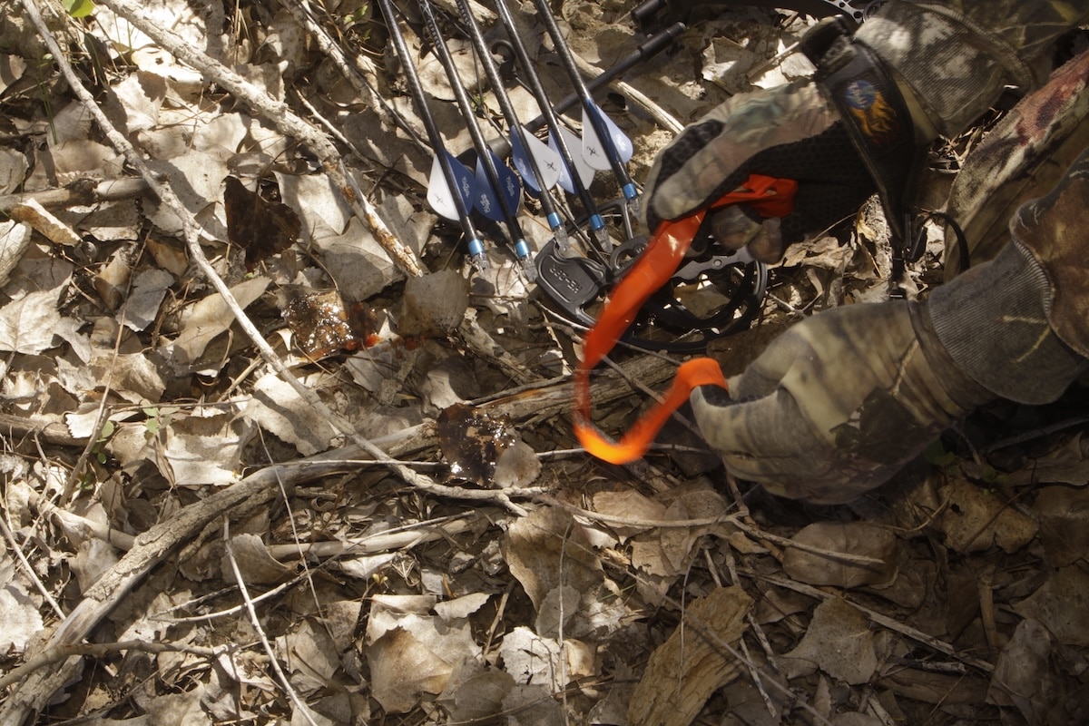 Blood Trail and Recover Wounded Deer