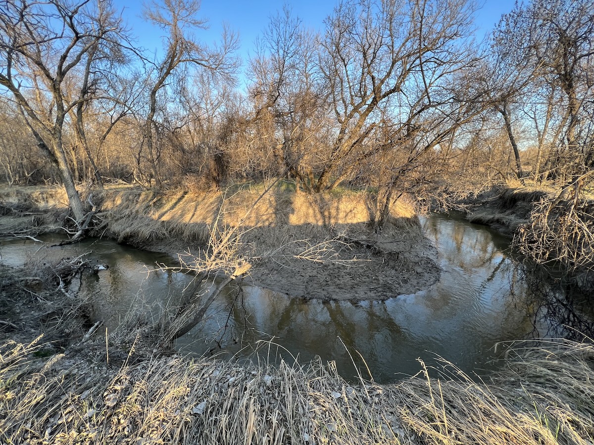 Big Public-Land Bucks