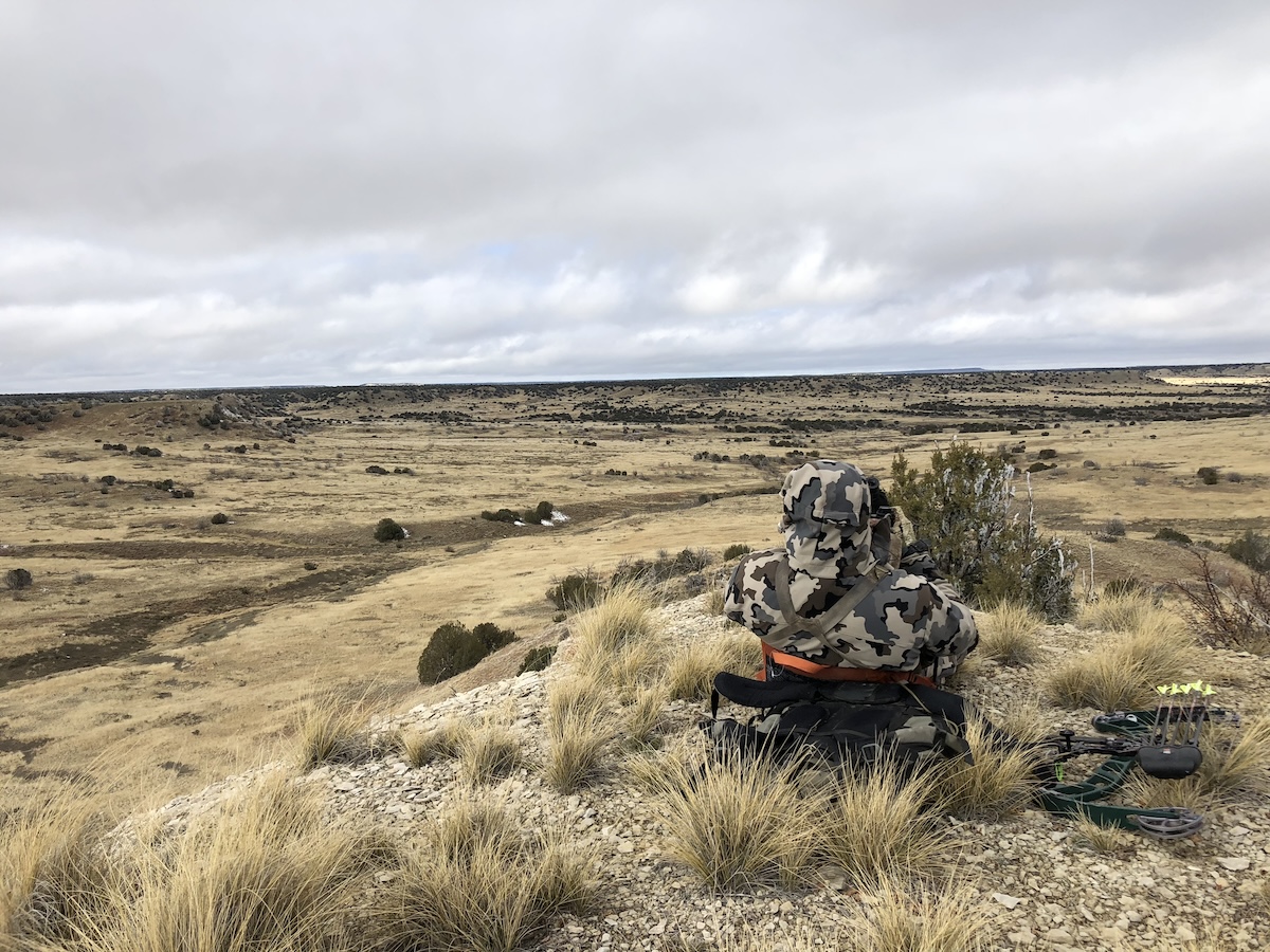 Late Season Western Whitetails