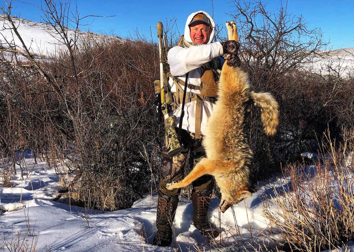 How to Hunt Coyotes