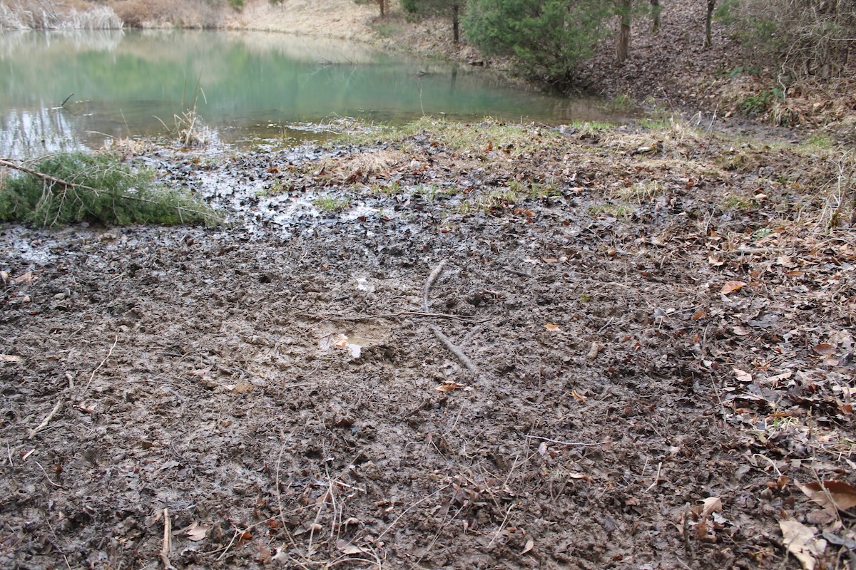Post-Season Scouting for Deer