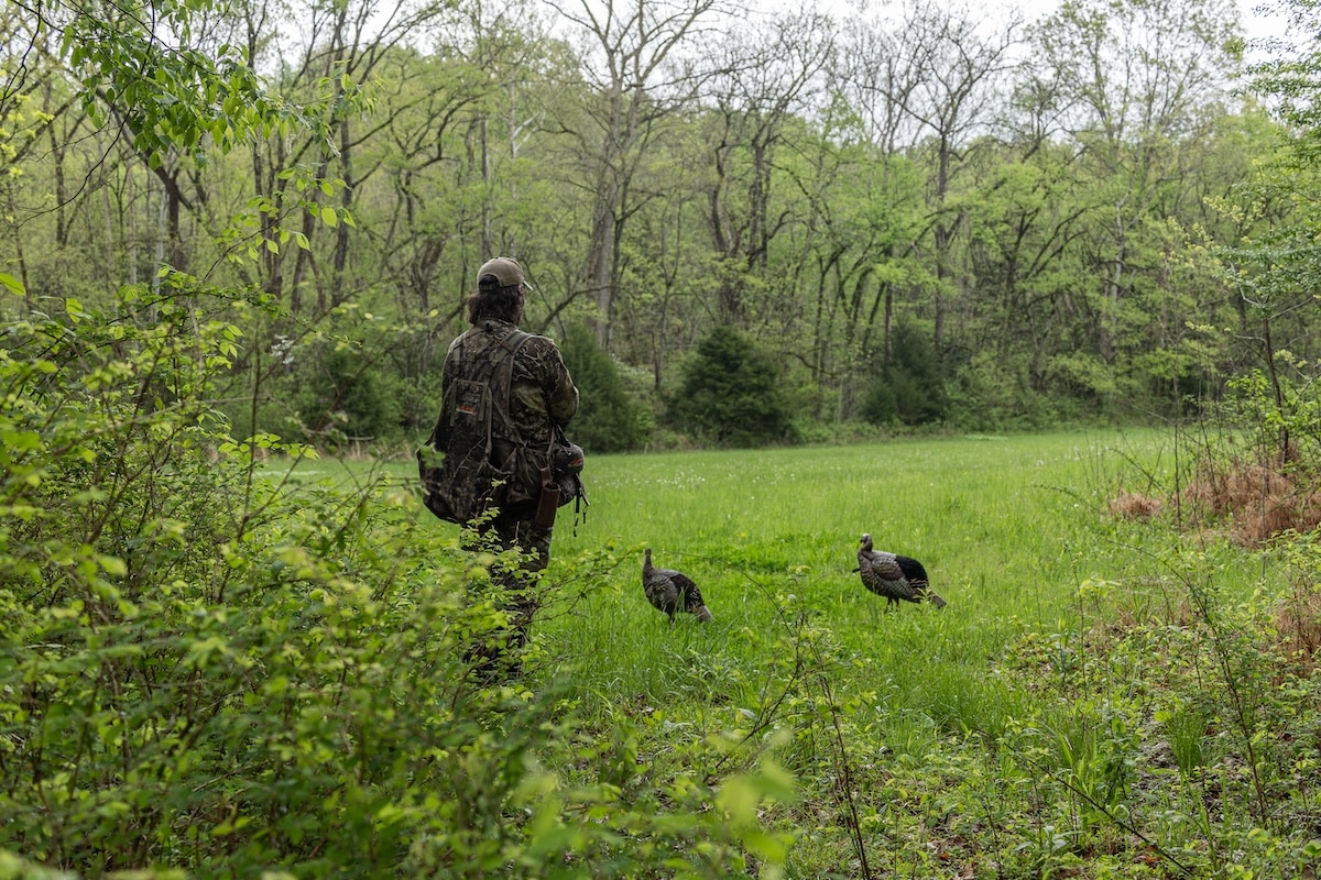 How to Hunt Eastern Wild Turkeys - HuntStand