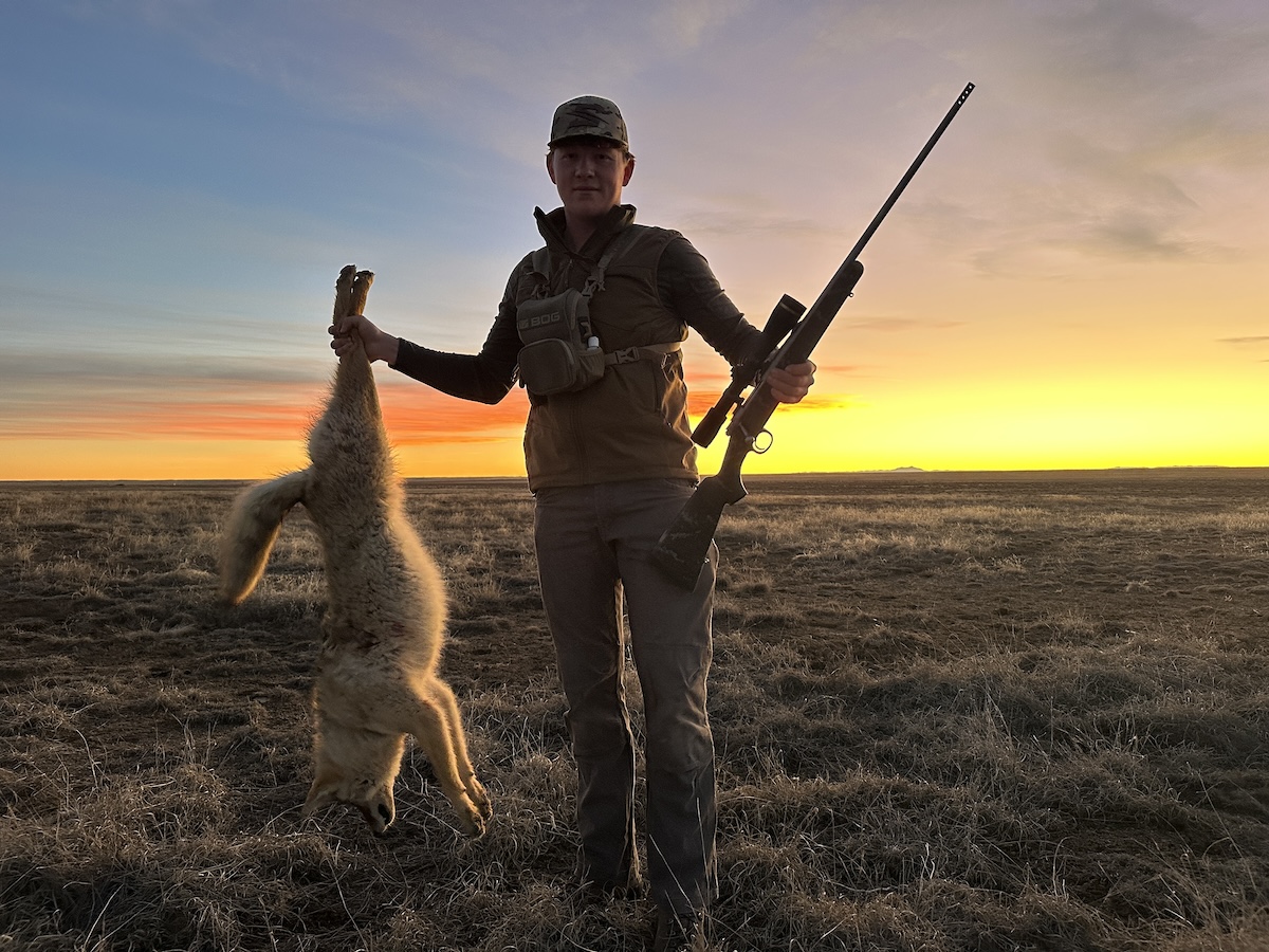 How To Hunt Late Season Coyotes 8