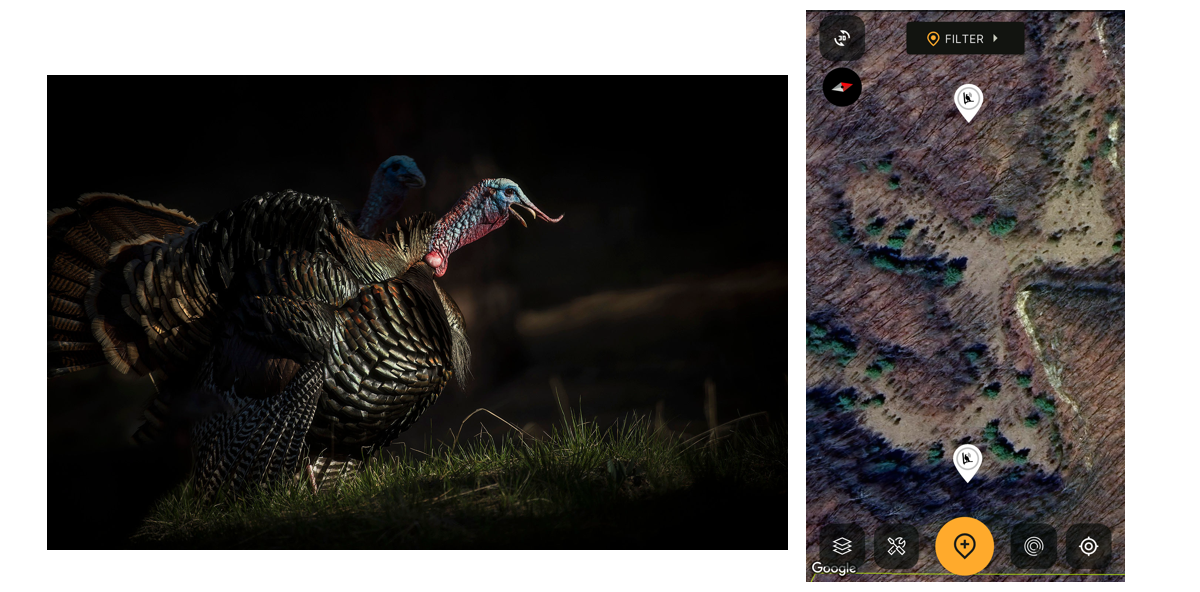 Huntstand Turkey Hunting Interface 1