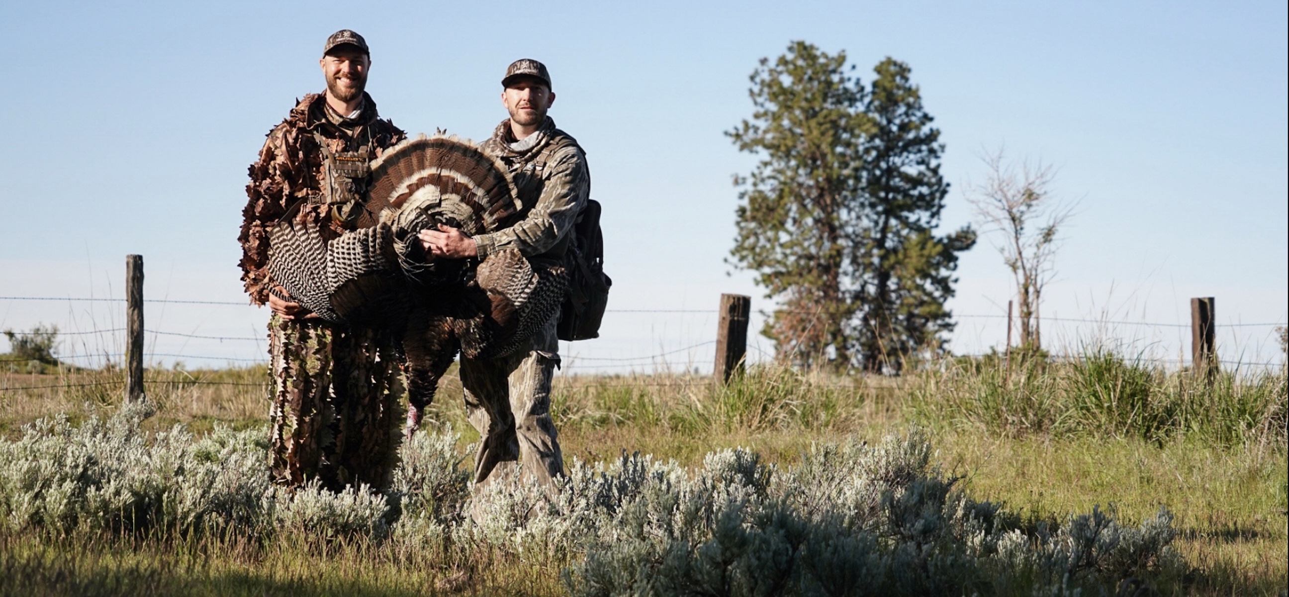 Turkey Hunting in Washington