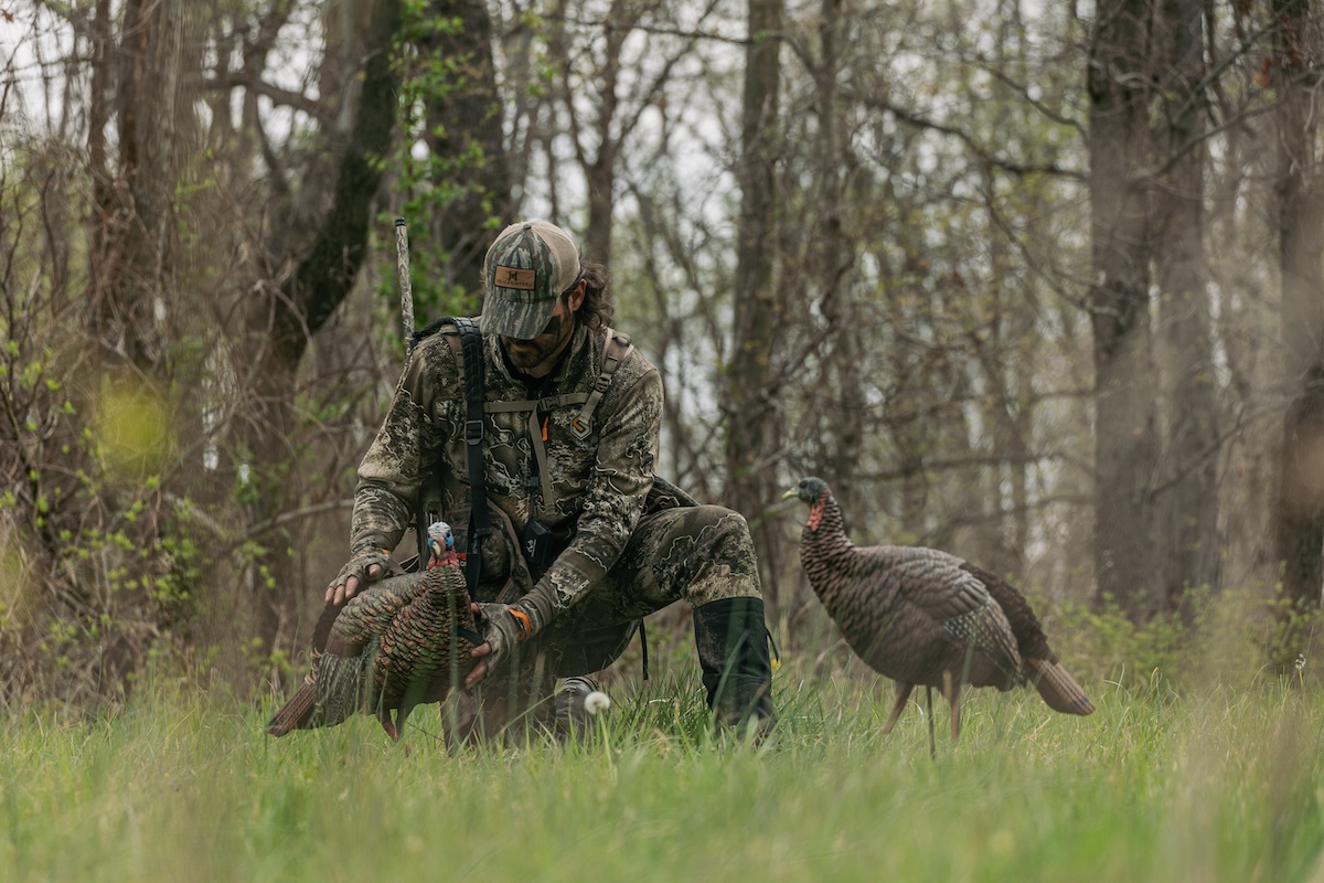 How to Hunt Osceola Wild Turkeys