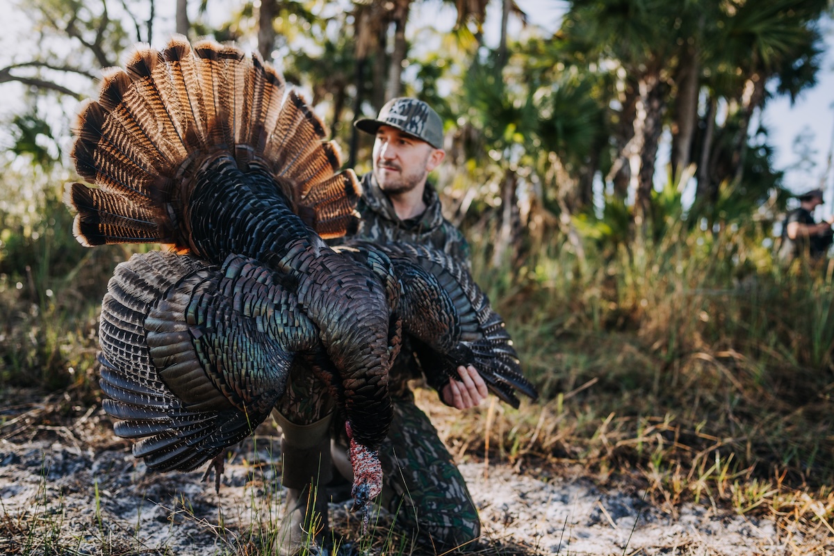 Best Ways To Improve Your Land For Wild Turkeys