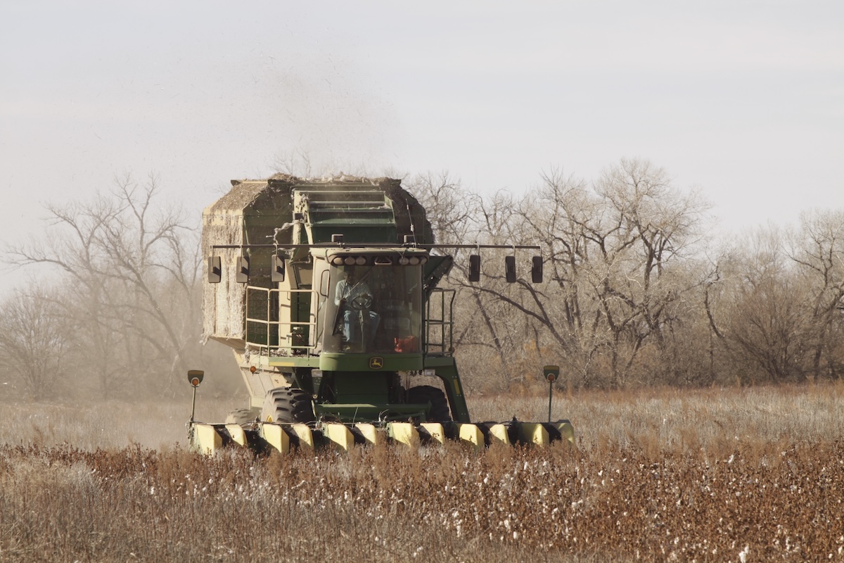 Biggest Threats To The Wild Turkey