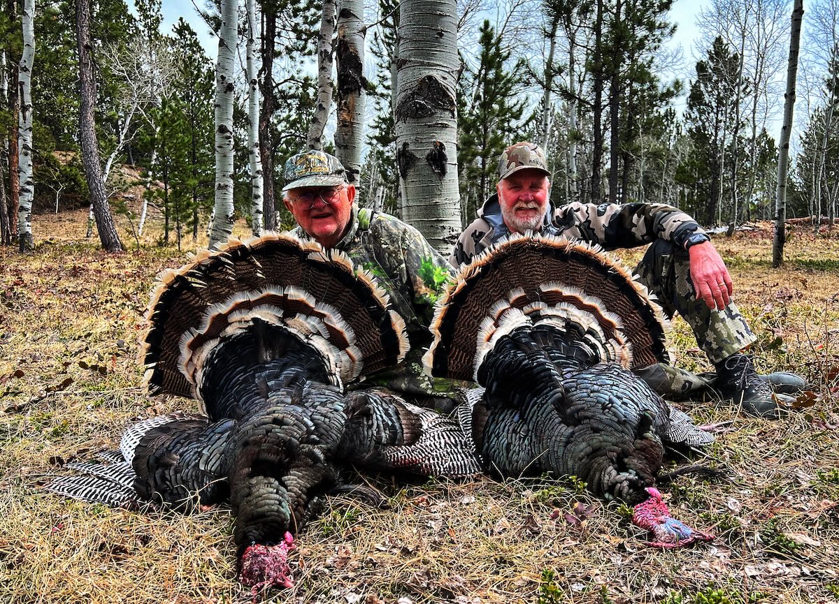 How to Hunt Western Turkeys