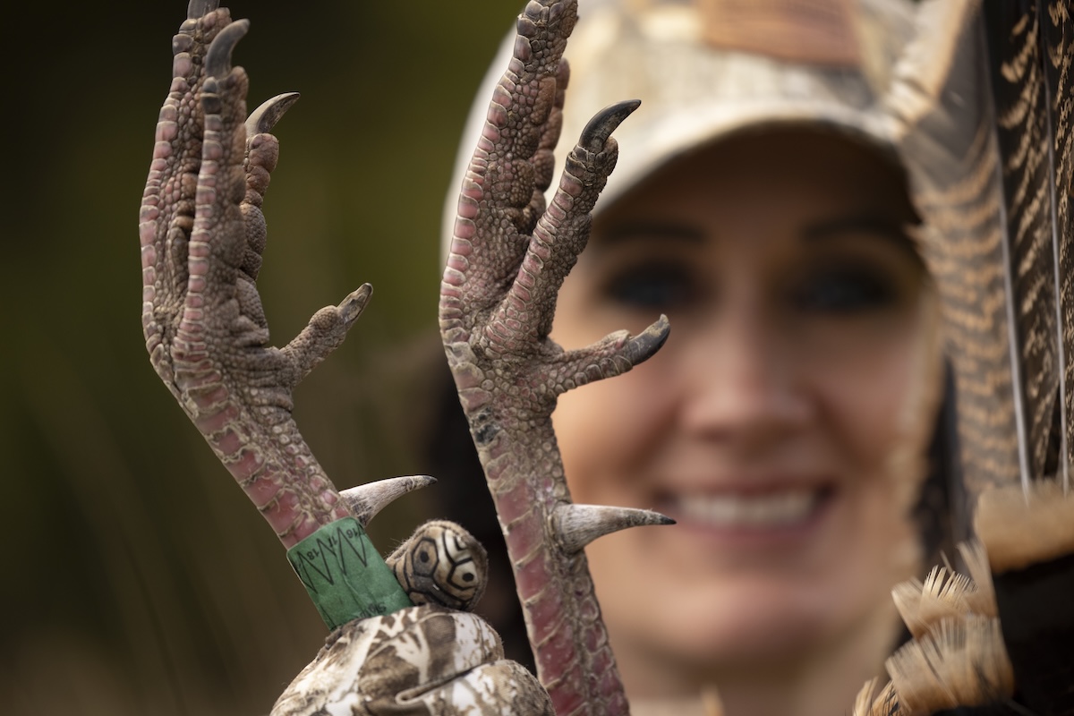How to Hunt Merriam’s Wild Turkeys