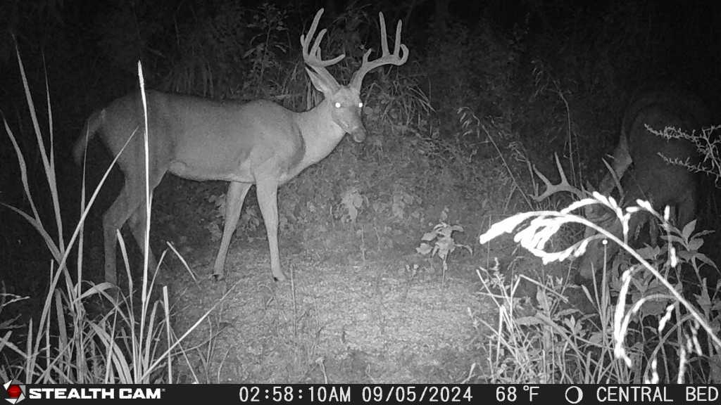 How to Manage Deer Hunting Land with HuntStand