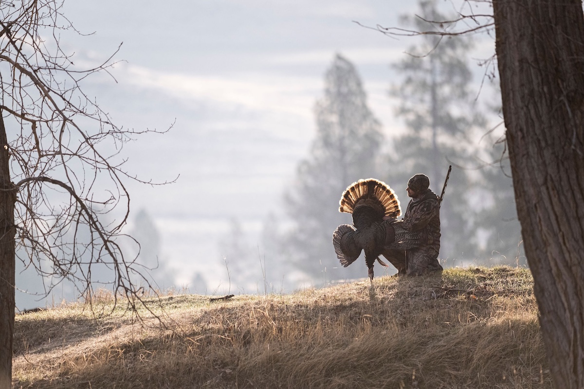 Backcountry Turkey Hunting