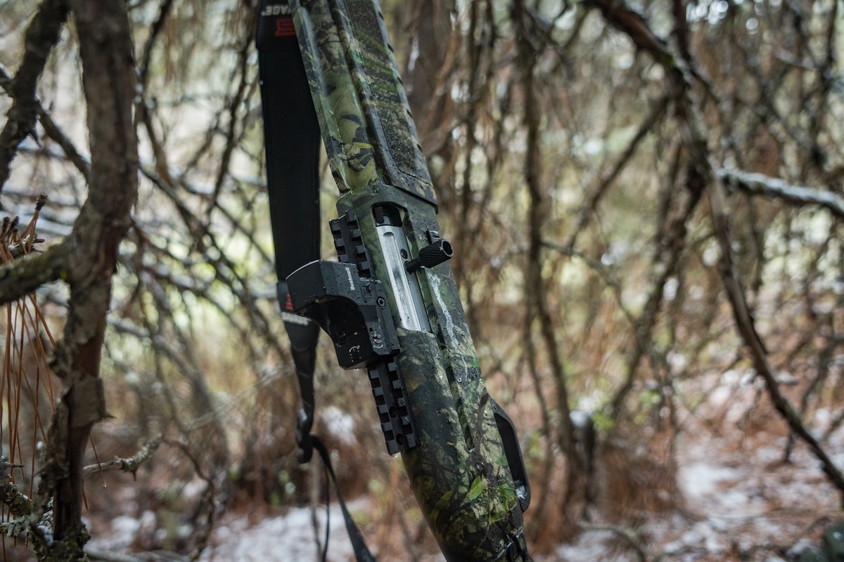Hunting Merriam’s Turkeys in Idaho