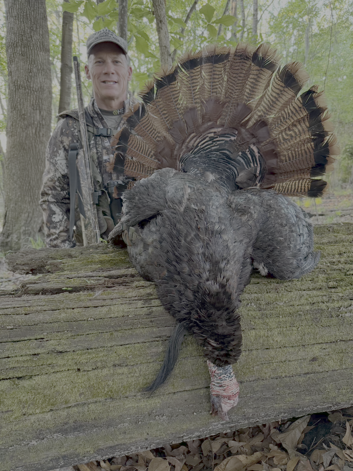 How to Hunt Southern Turkeys