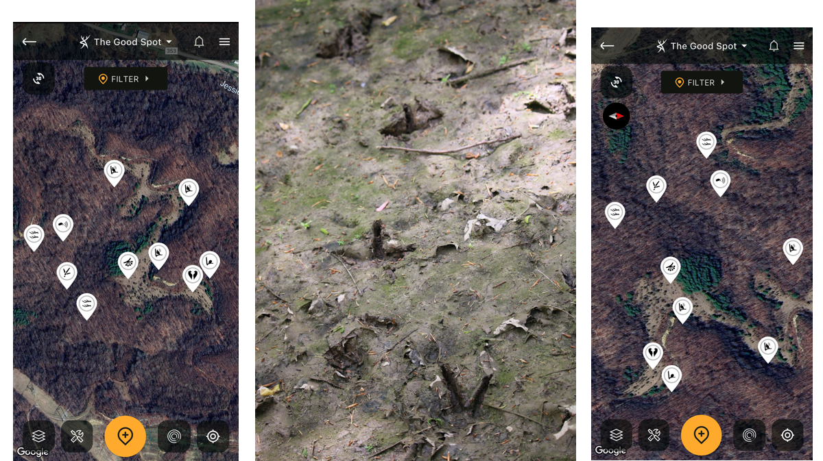How to Hunt Southern Turkeys