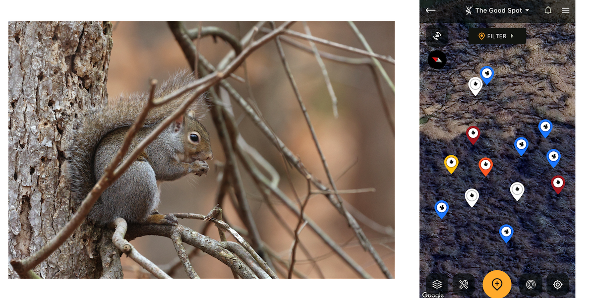 Reasons Squirrel Hunters Use HuntStand