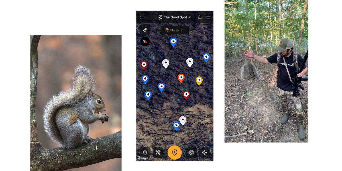 Reasons Squirrel Hunters Use HuntStand