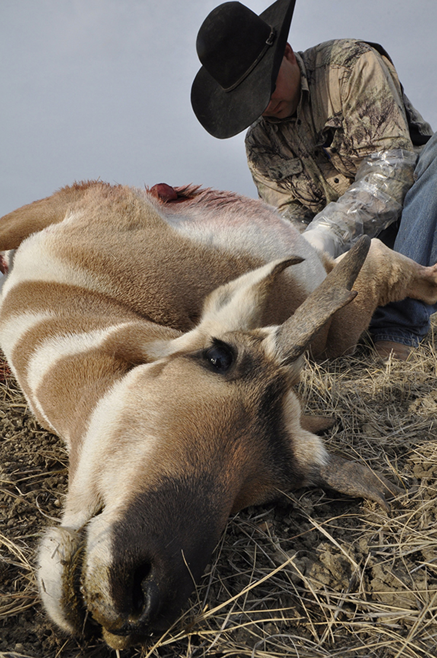 Bowhunting Pronghorn 5