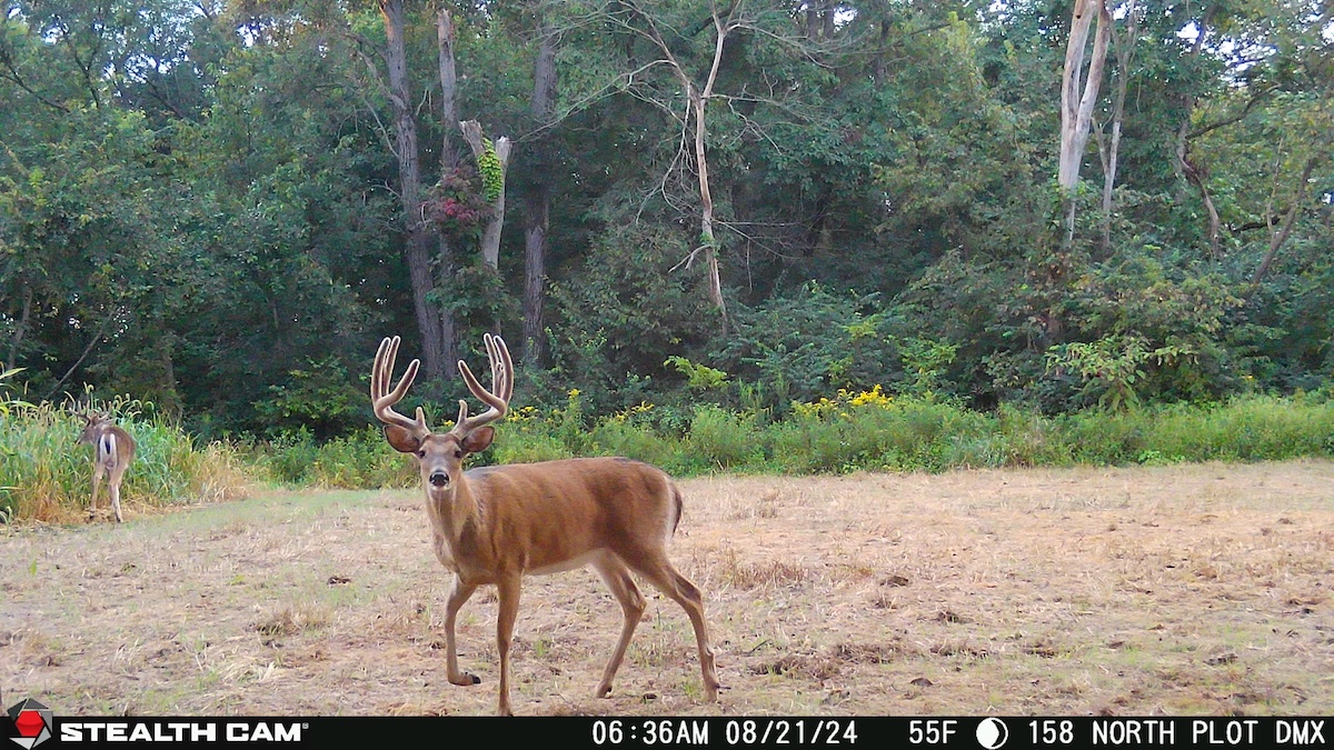 Pre-Season Deer Hunting Tasks
