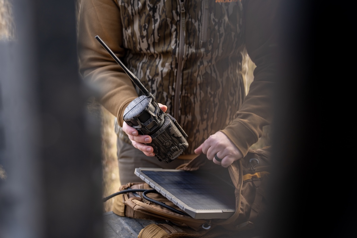 Pre-Season Deer Hunting Tasks