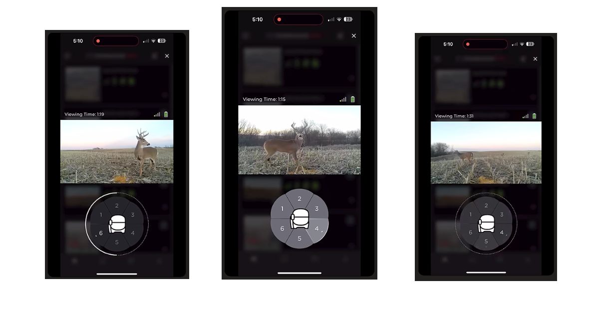 15 Ways to Use Live View with Cell Cams - HuntStand