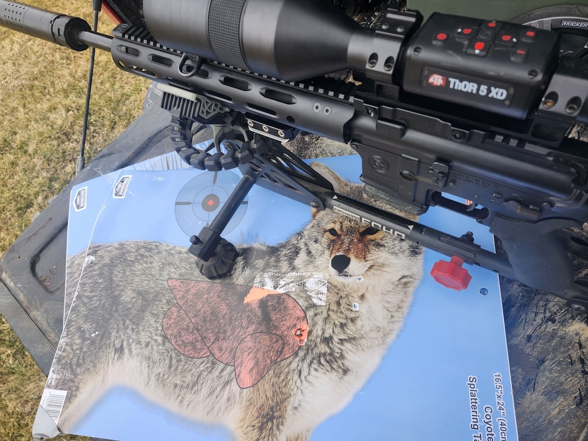 Summertime Predator Hunting Tips