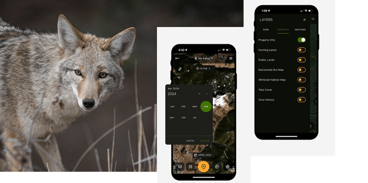 Summertime Predator Hunting Tips