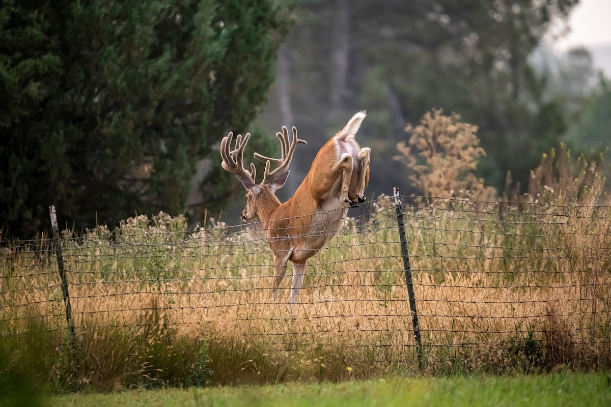 Huntstand Property Lines 2