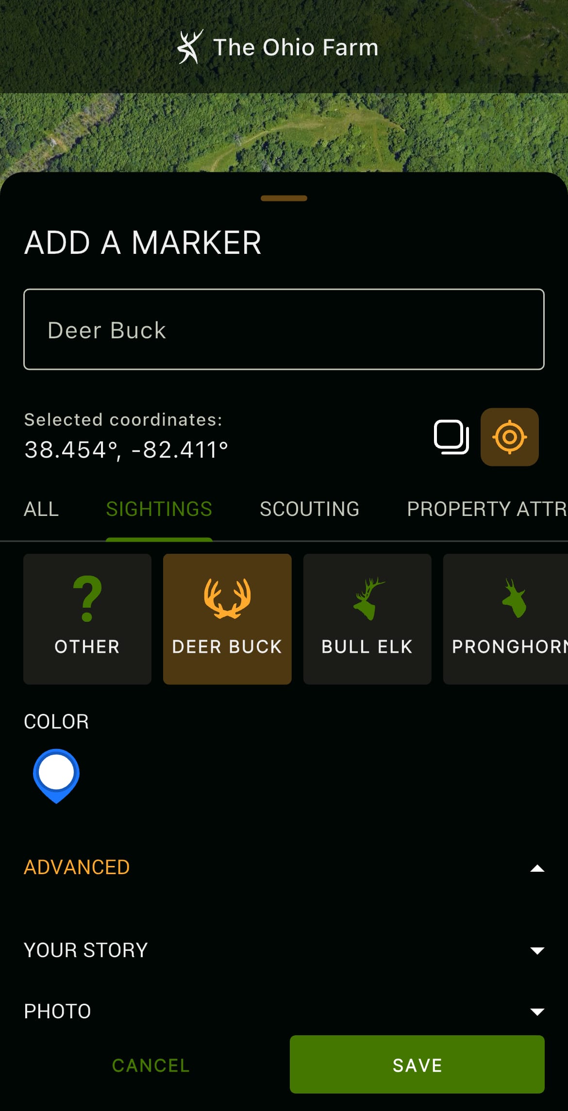 Deer Sighting