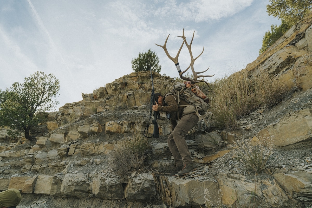 Best Days for Your Elk Hunting Vacation