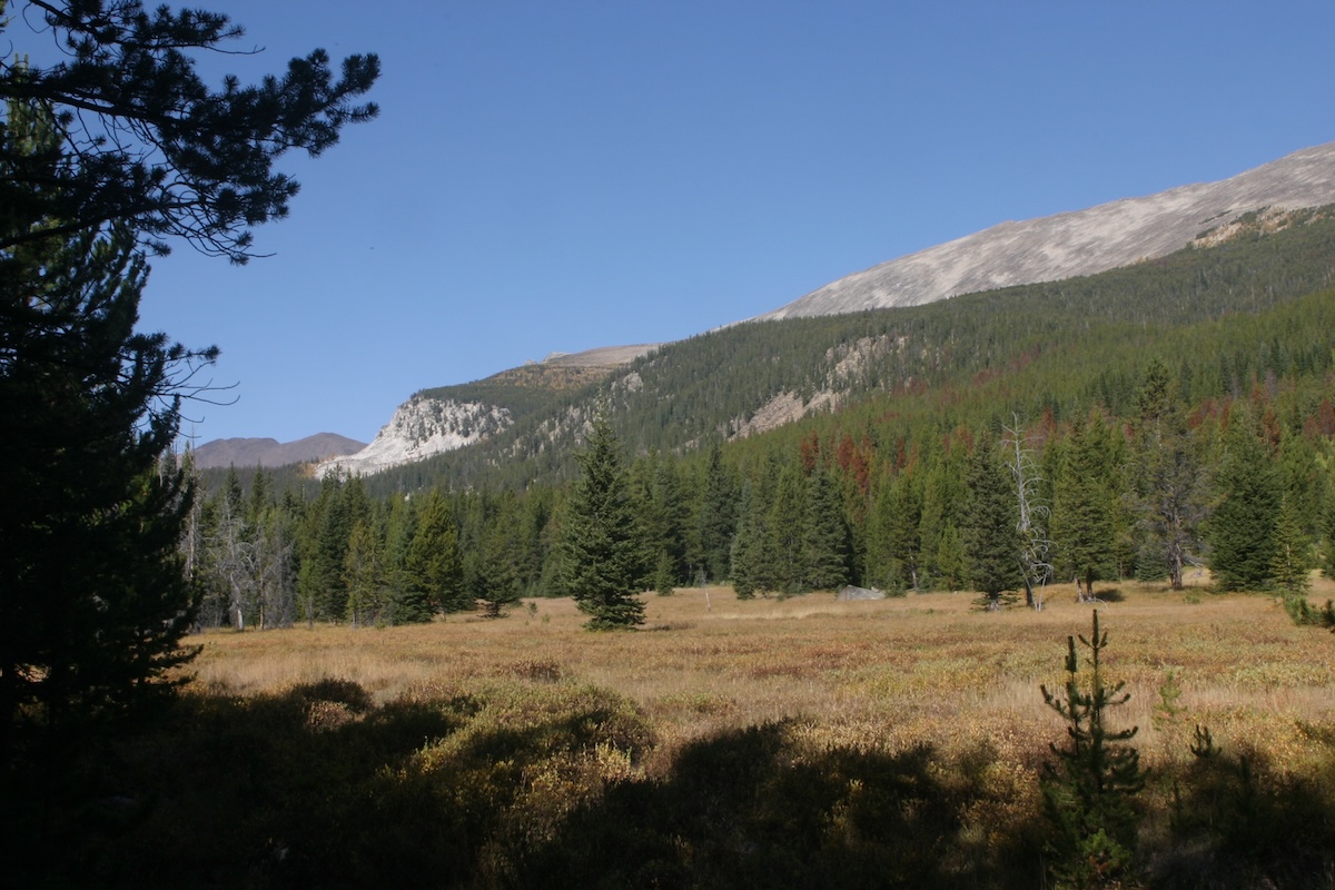 Terrain Features Elk Can’t Resist