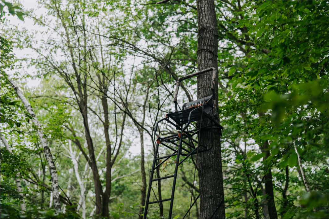 21 Great Early Season Treestand Locations