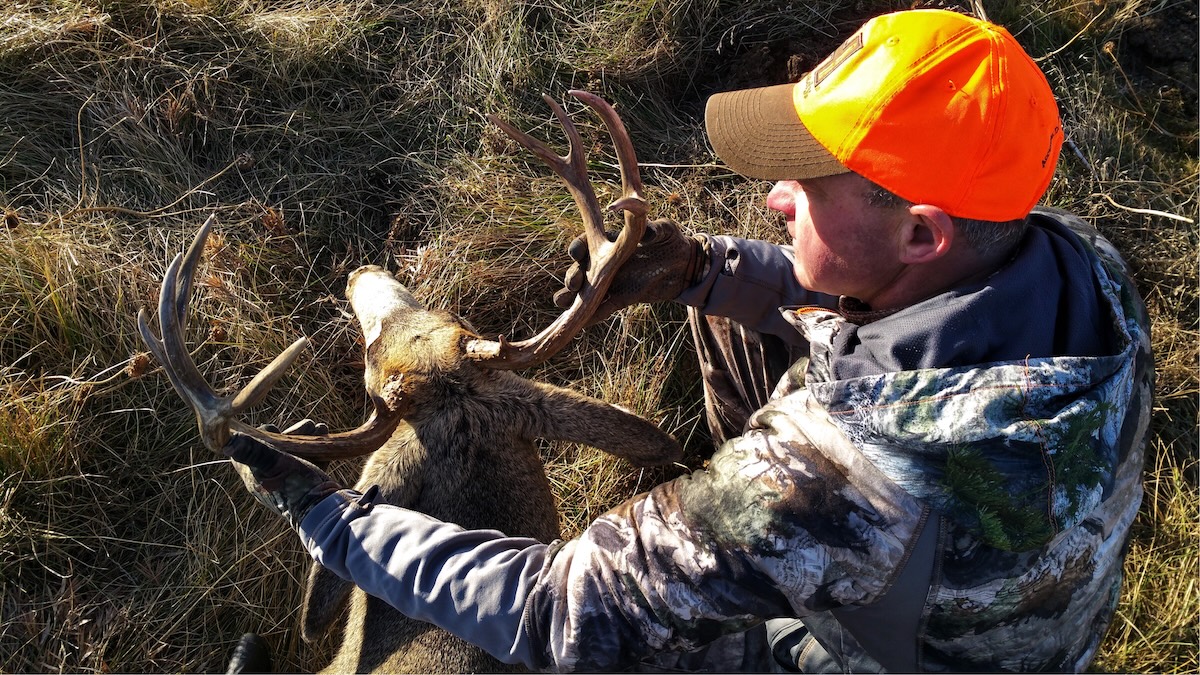 How to Hunt Mule Deer