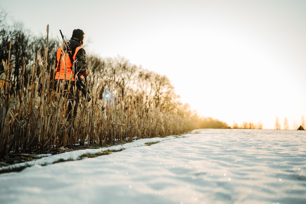 Killer Gun Season Strategies