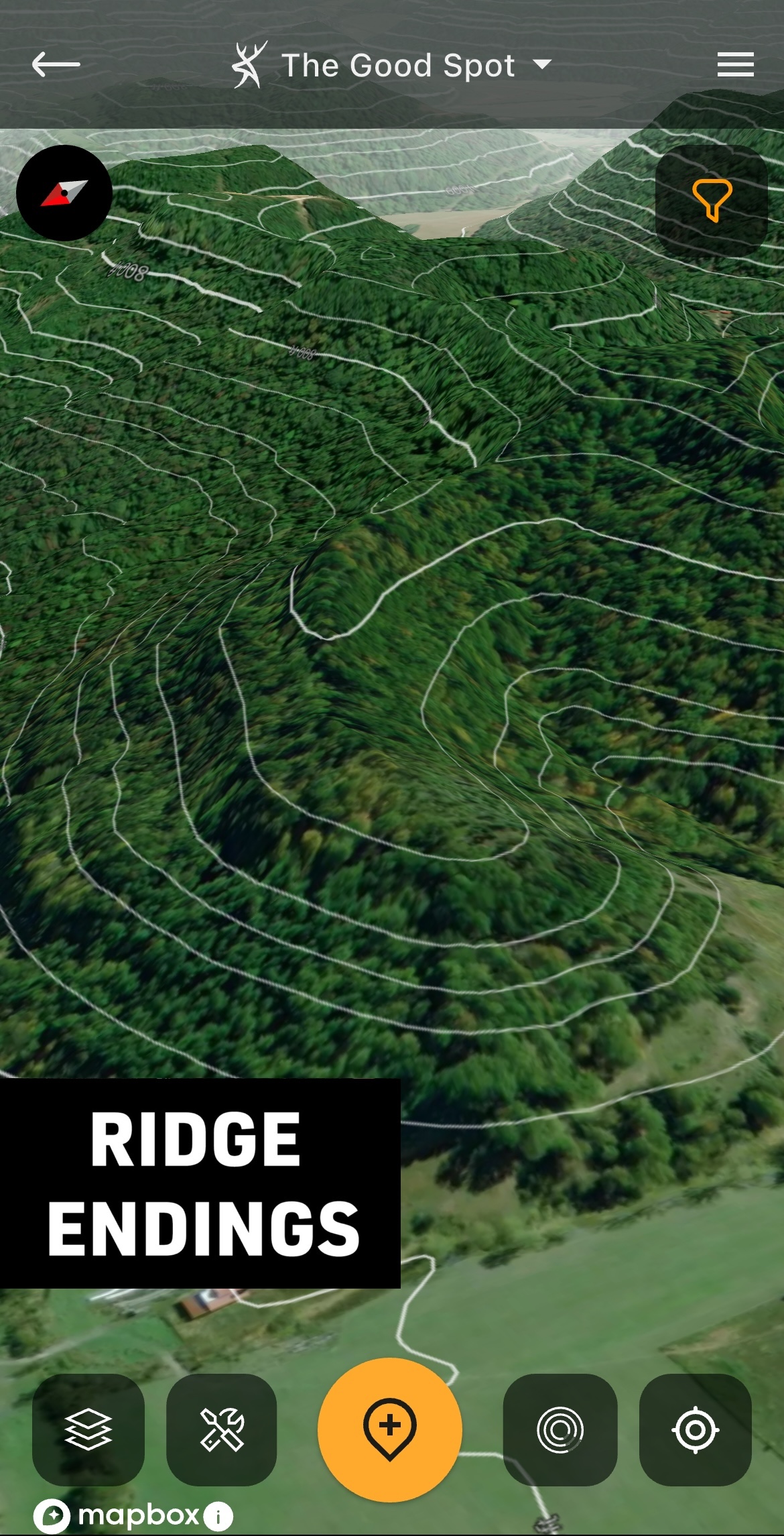 Ridge Endings 2