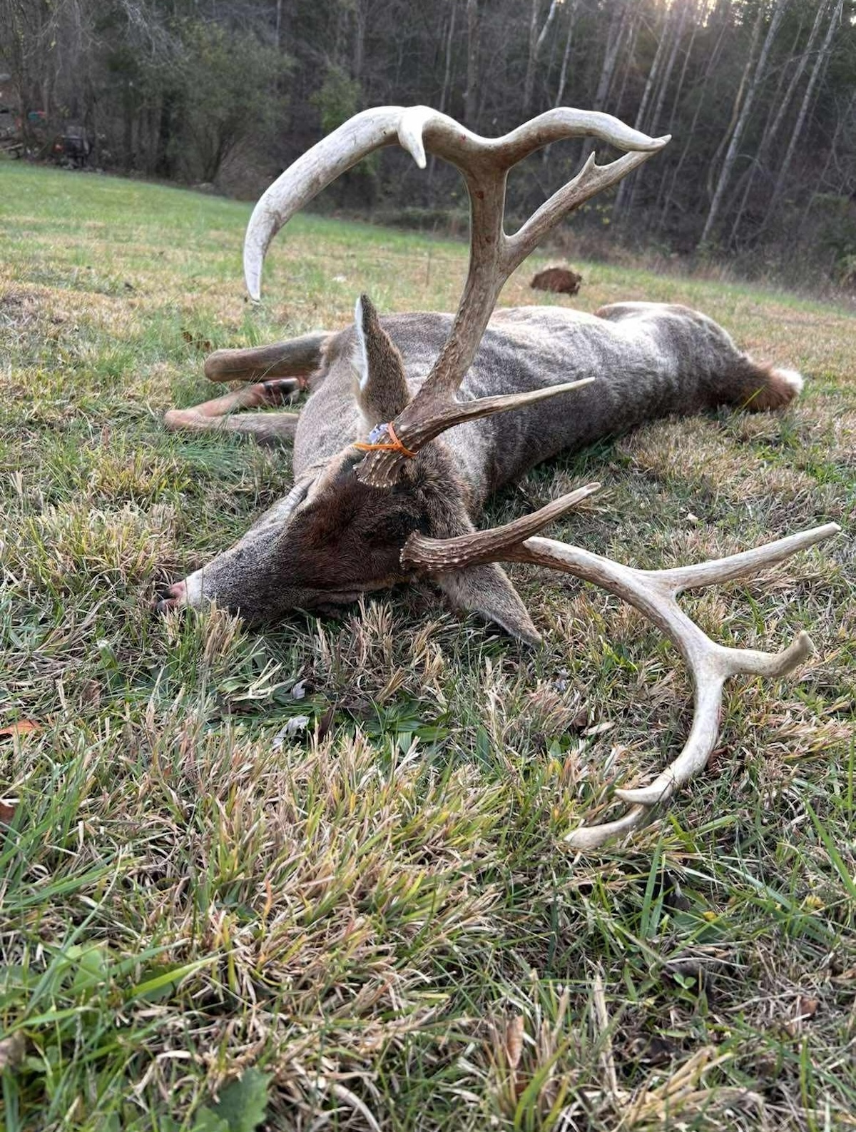 Indiana Hunter Bags Ultra-Wide Public-Land Monster Buck