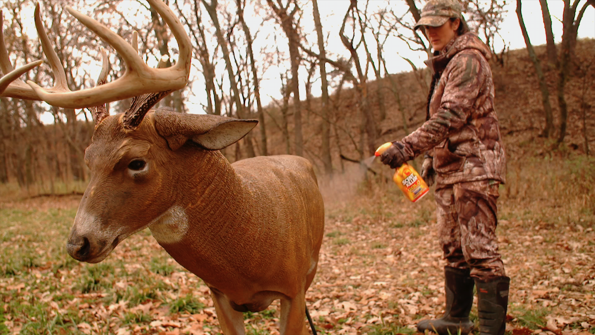 Decoying Mature Bucks